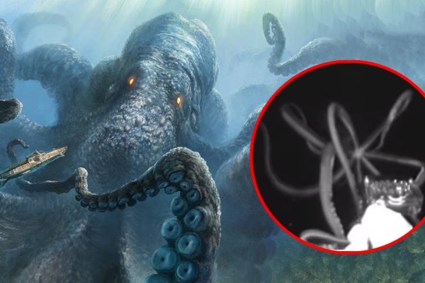 Kraken зеркало krakentor site