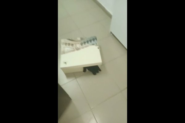 Ссылки на кракен мегу