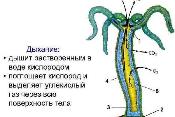 Kra32at