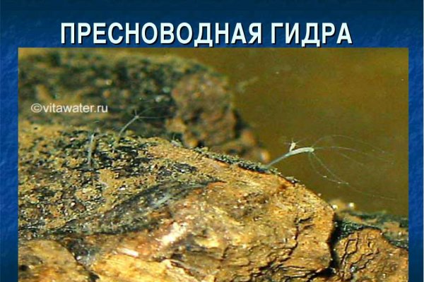 Замена гидры