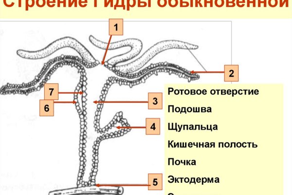 Кракен тор krakens13 at