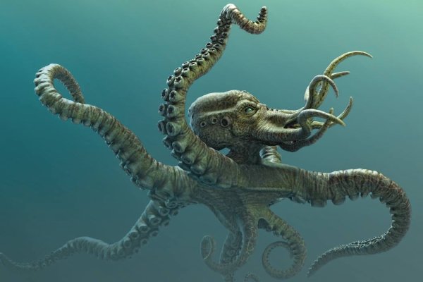 Kraken 13 at сайт