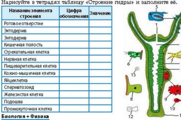 Кракен ссылка орион
