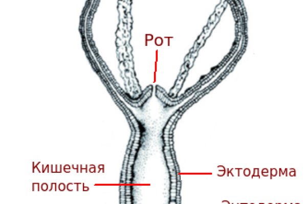 Кракен сайт krknwebs