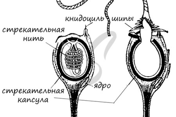 Ссылки на сайты даркнета