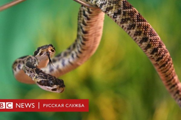 Kraken официальный сайт вход