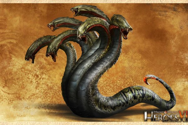 Kraken площадка