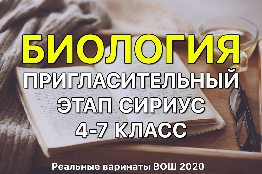 Кракен мага